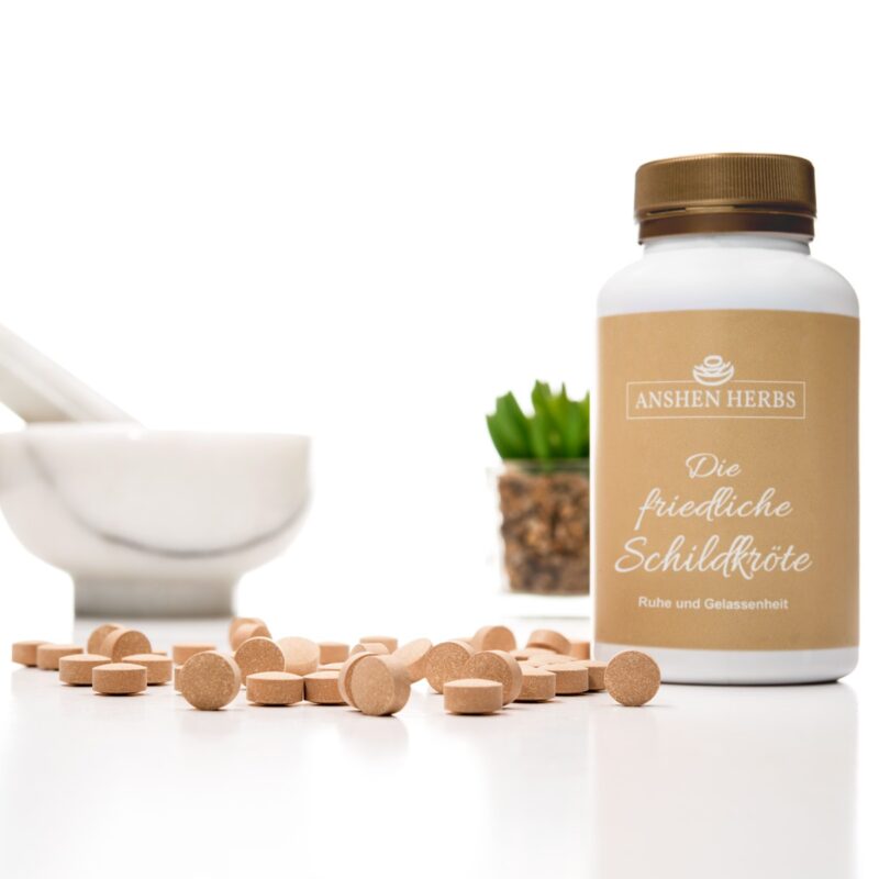 TCM Kräutermischung — Die friedliche Schildkröte von Anshen Herbs
