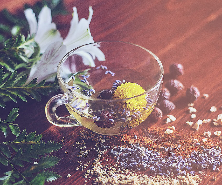 Cup surrounded by several herbs from TCM
