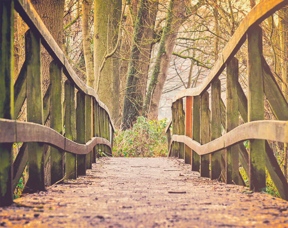 Narrow bridge made of wood