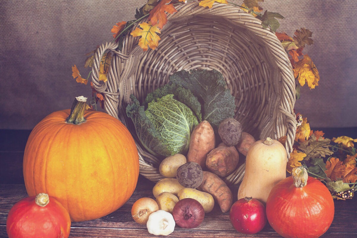 Overturned basket in the background, head of cabbage in the basket, in the foreground various pumpkins, garlic, onion, potato,...