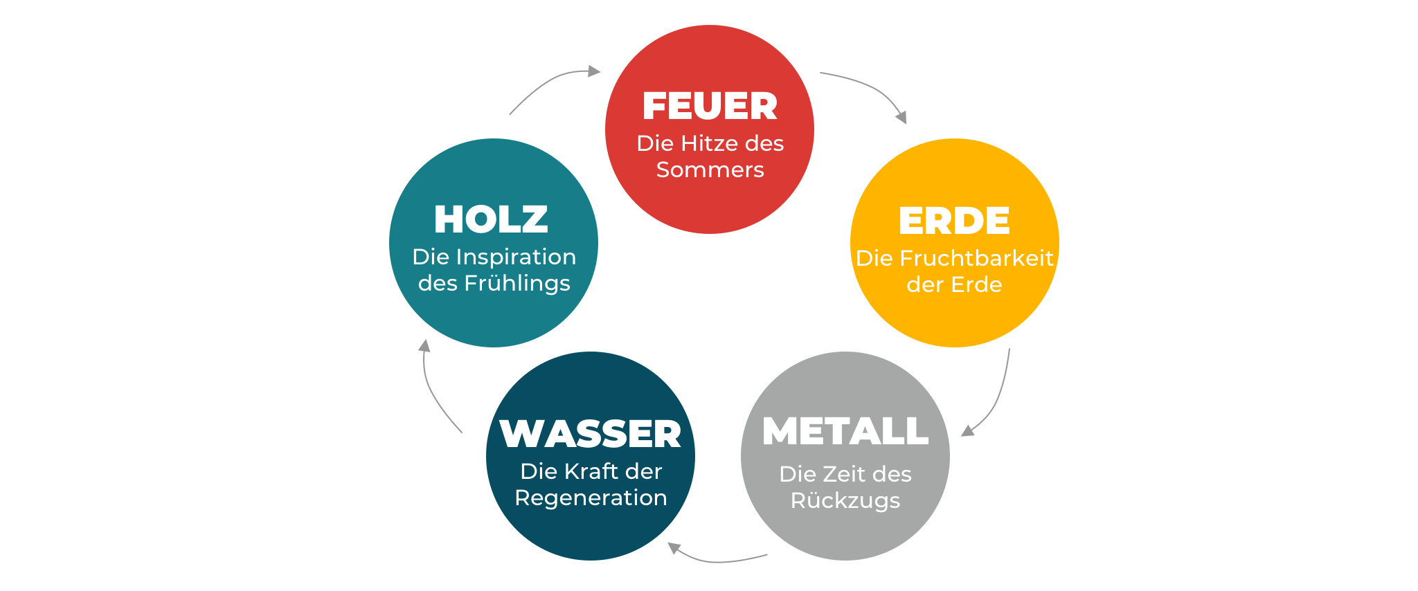 Graphic representing the 5 elements cycle of traditional Chinese medicine (TCM): 5 circles, green for wood, red for fire, yellow for earth, gray for metal and blue for water.