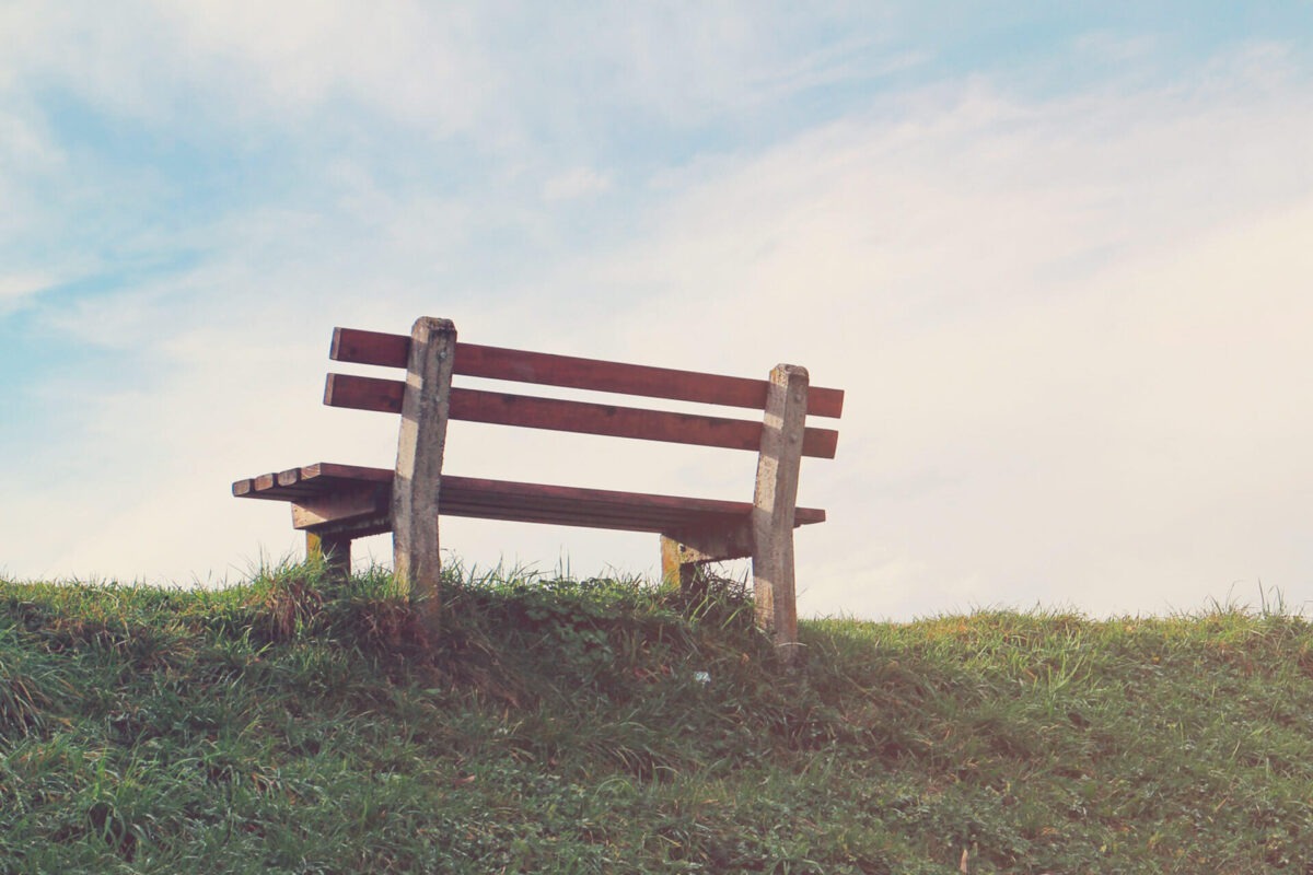 Bench photographed from behind