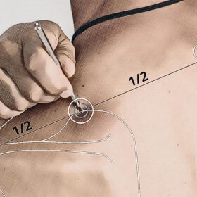 Posizione del punto di agopuntura 3E 15 Grafico
