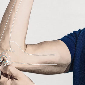 Emplacement du point d'acupuncture IG 08 Graphique