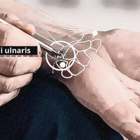 Lage Akupunkturpunkt He 07 Grafik