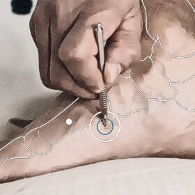 Emplacement du point d'acupuncture RP 04 Graphique