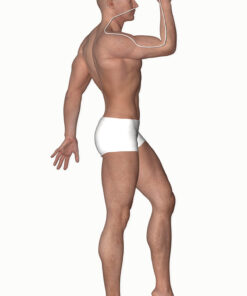 Graphic of the large intestine meridian course