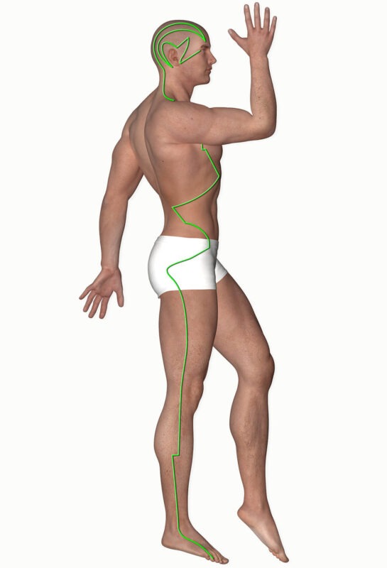 Grafik zum Meridian Verlauf Gallenblase