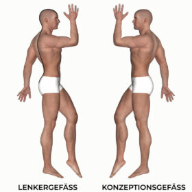 Graphic of man with marked steering vessel and conception vessel (meridians of TCM)