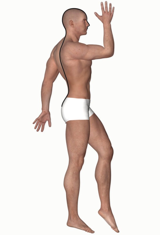 Diagram showing the course of the handlebar vessel meridian