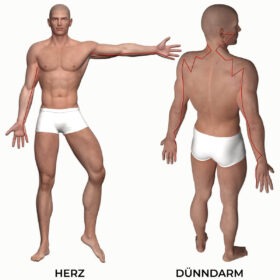 Graphic of man with drawn meridians heart and small intestine (meridians of TCM)