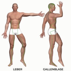 Graphic of man with liver and gallbladder meridians drawn in (meridians of TCM)
