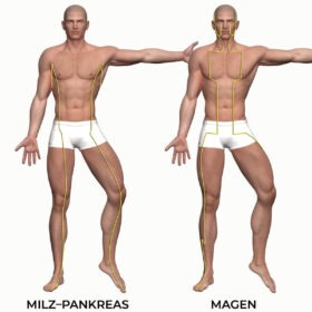 Diagram of man with spleen-pancreas and stomach meridians drawn in (TCM meridians).
