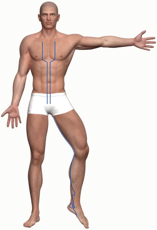 Grafik zum Meridian Verlauf Niere