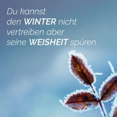 No puedes alejar el invierno, pero puedes sentir su sabiduría.