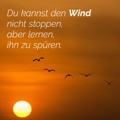 You can't stop the wind, but you can learn to feel it.