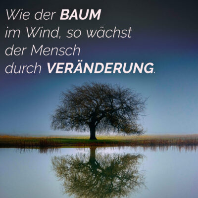 Like the tree in the wind, people grow through change.