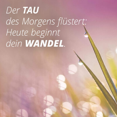 The morning dew whispers: Today your change begins.