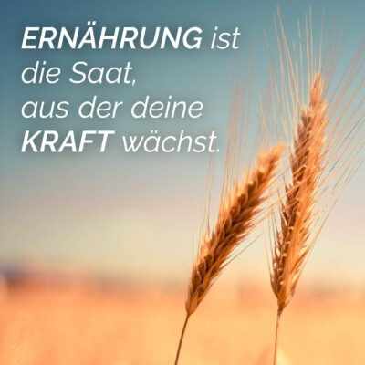 L'alimentation est la graine qui donne naissance à ta force.