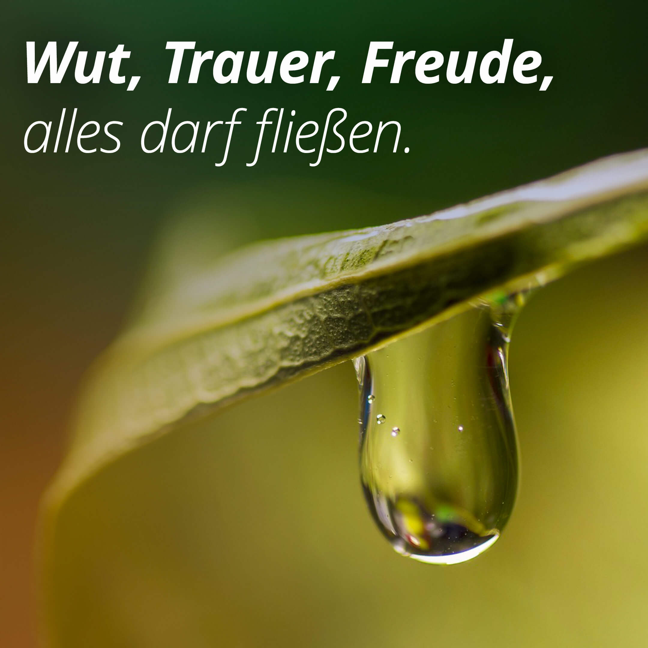 Colère, tristesse, joie, tout peut s'écouler.