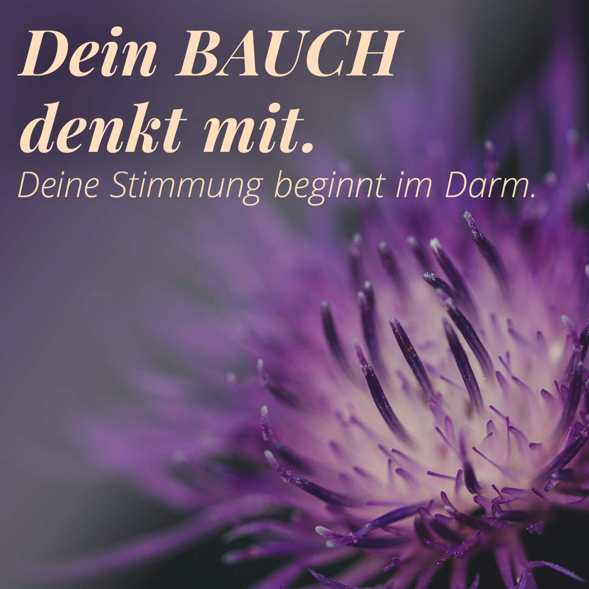 Conceptual Vessel Meridian