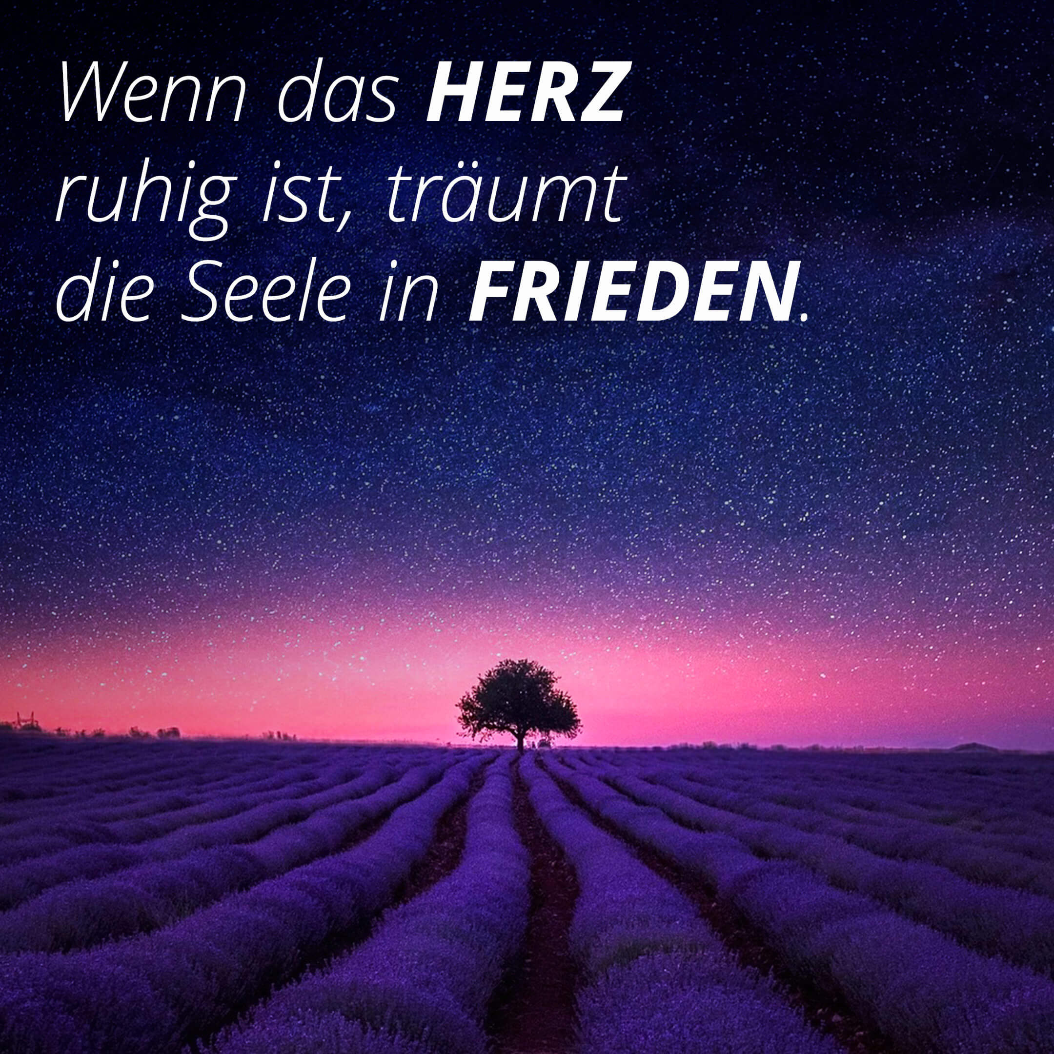 Quand le cœur est calme, l'âme rêve en paix.