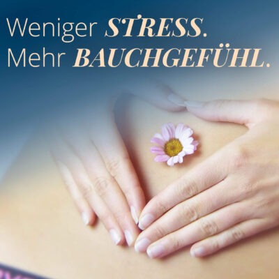 Moins de stress. Plus d'instinct.