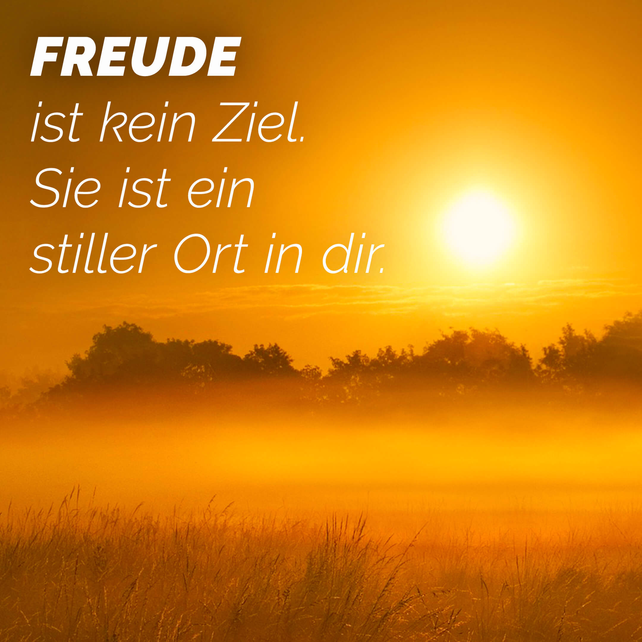 Joy is not a destination. It is a quiet place within you.