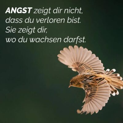 Fear does not show you that you are lost. It shows you where you can grow.