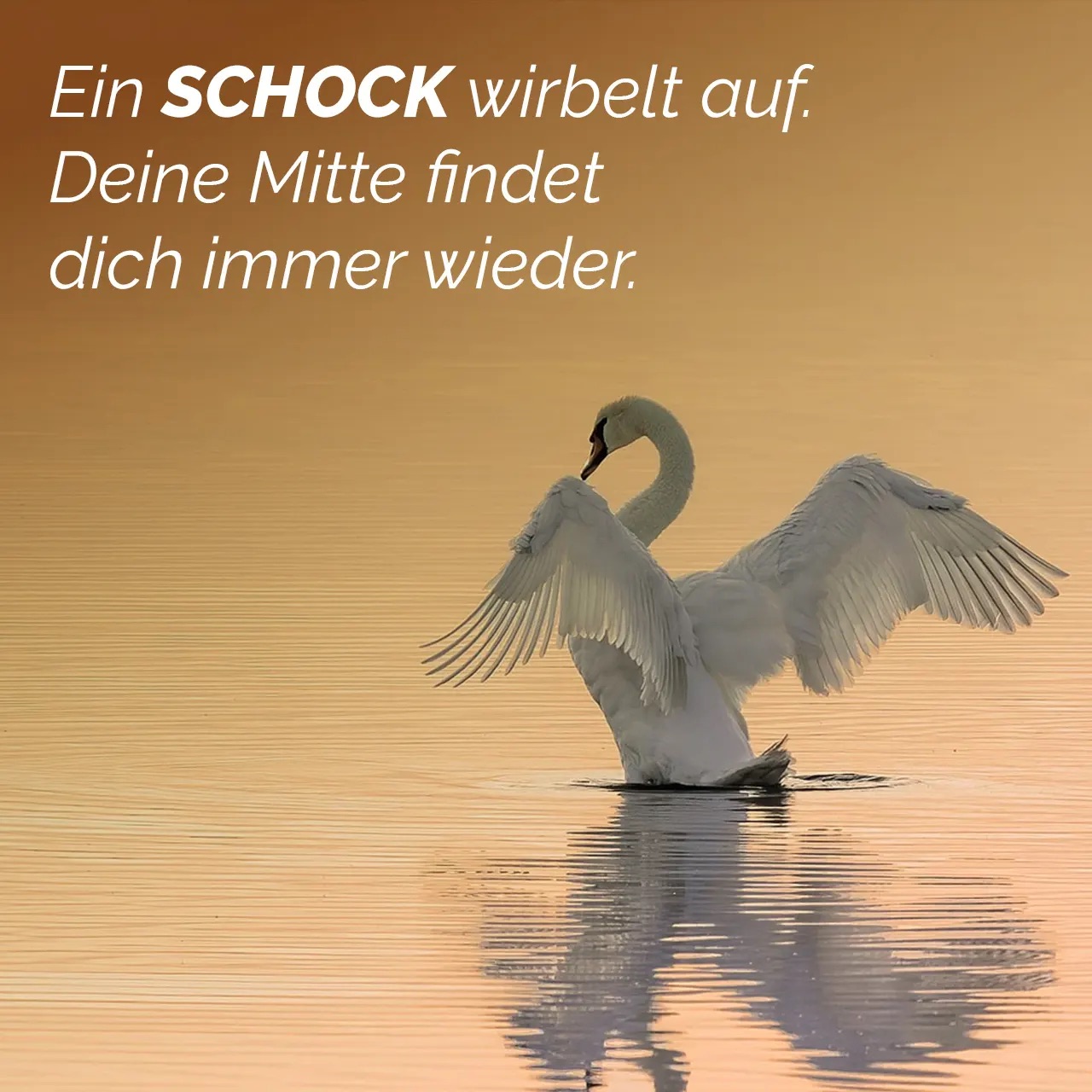 A shock swirls up. Your center always finds you again.