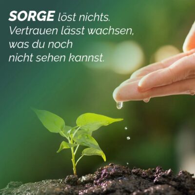 Worry solves nothing. Trust allows what you cannot yet see to grow.