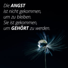 La paura non è venuta per restare. È venuta per essere ascoltata.