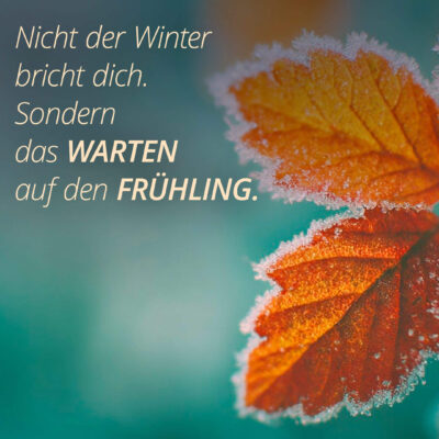 Nicht der Winter bricht dich. Sondern das warten auf den Frühling.