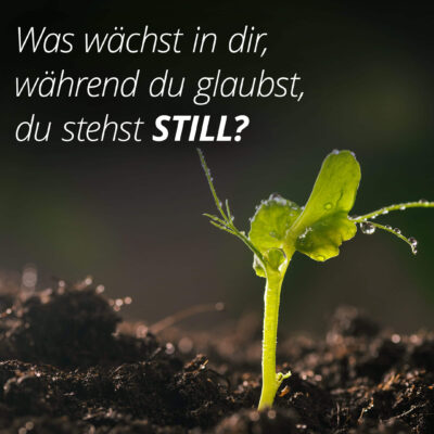Was wächst in dir, während du glaubst, du stehst still?