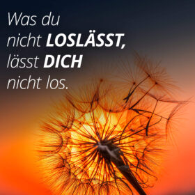 Was du nicht loslässt, lässt dich nicht los.