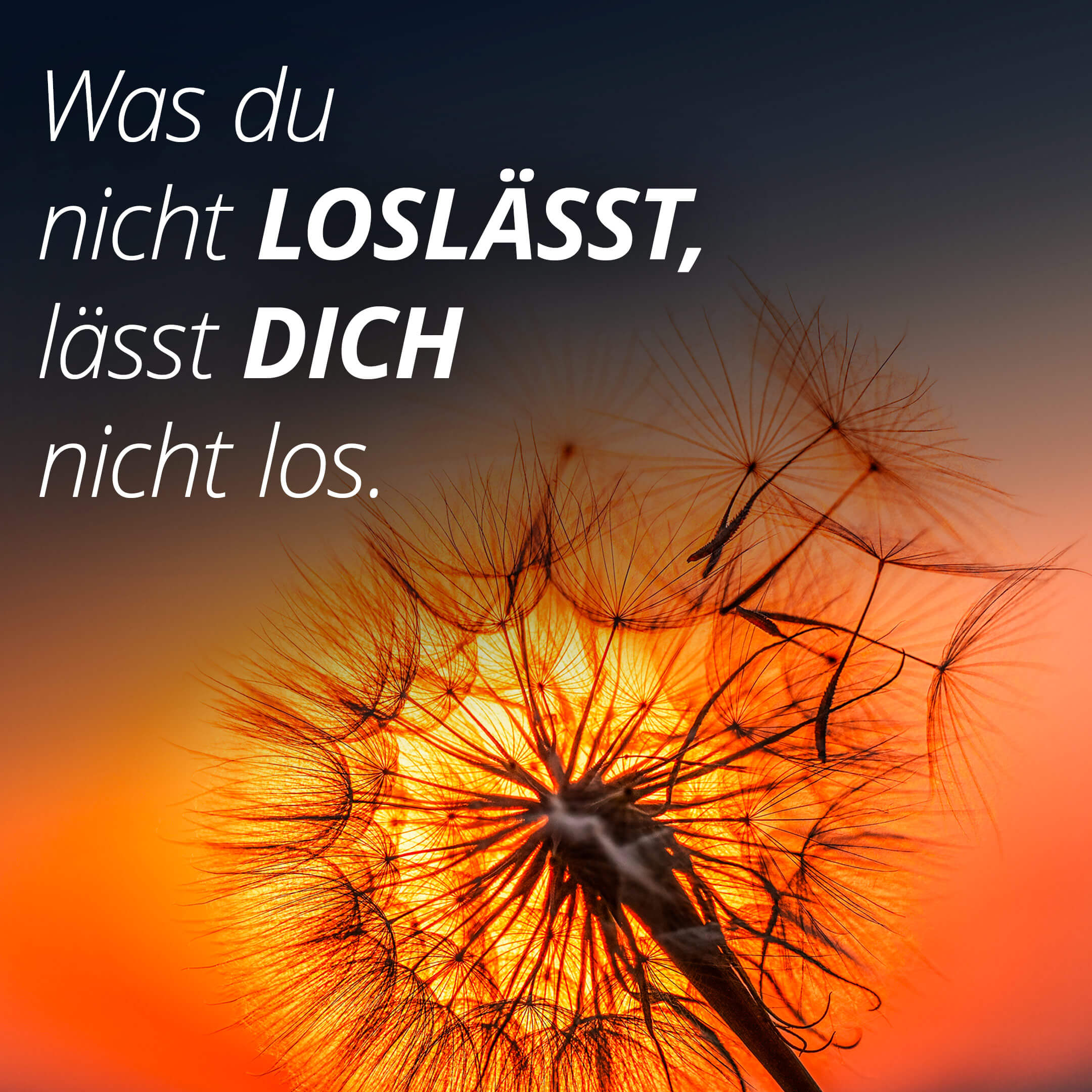 Was du nicht loslässt, lässt dich nicht los.