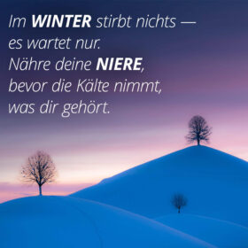 Im Winter stirbt nichts — es wartet nur. Nähre deine Niere, bevor die Kälte nimmt, was dir gehört.