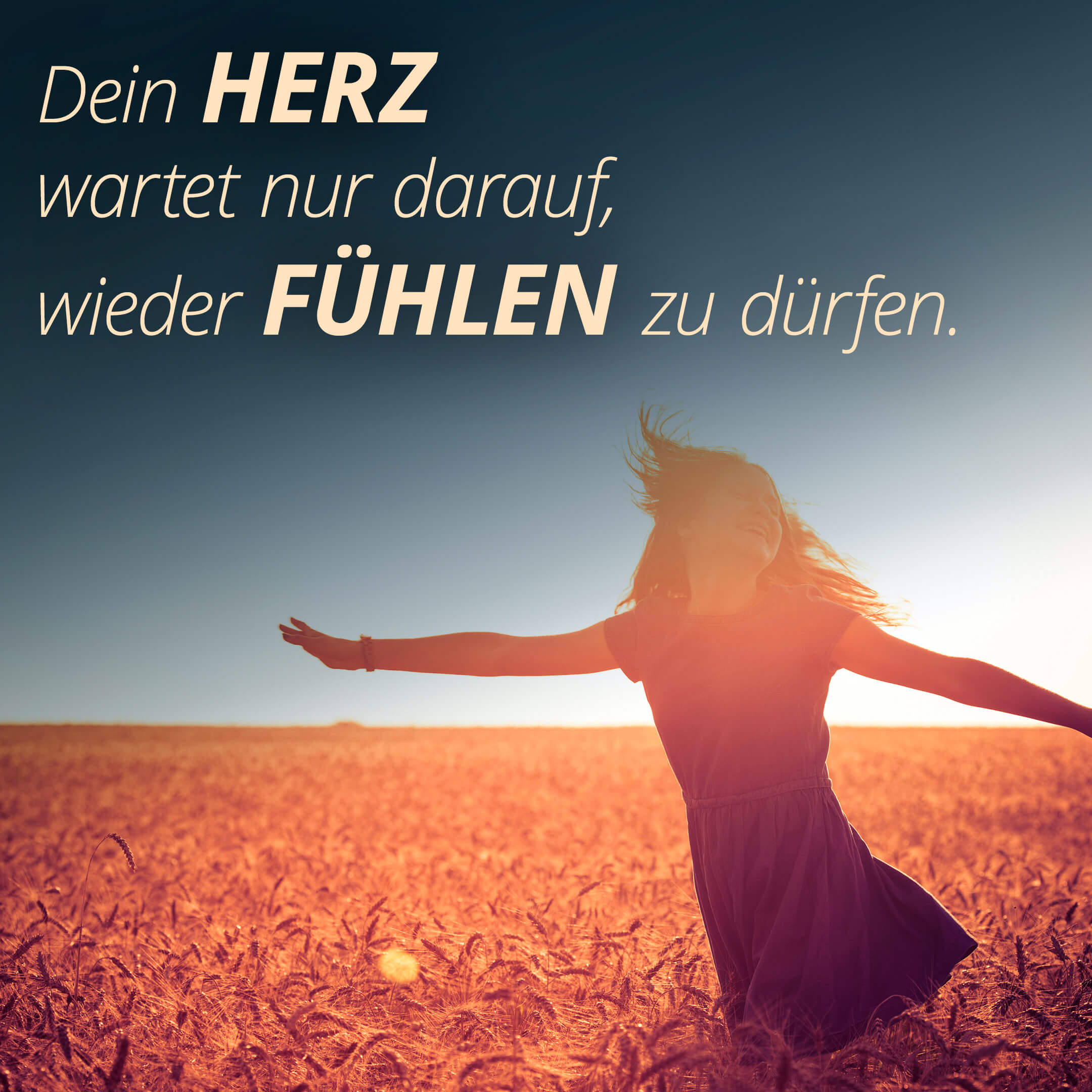 Dein Herz wartet nur darauf, wieder fühlen zu dürfen.