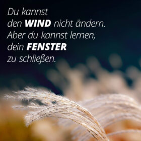 You can't change the wind. But you can learn to close your window.