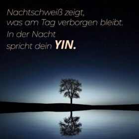 Nachtschweiß zeigt, was am Tag verborgen bleibt. In der Nacht spricht dein Yin.