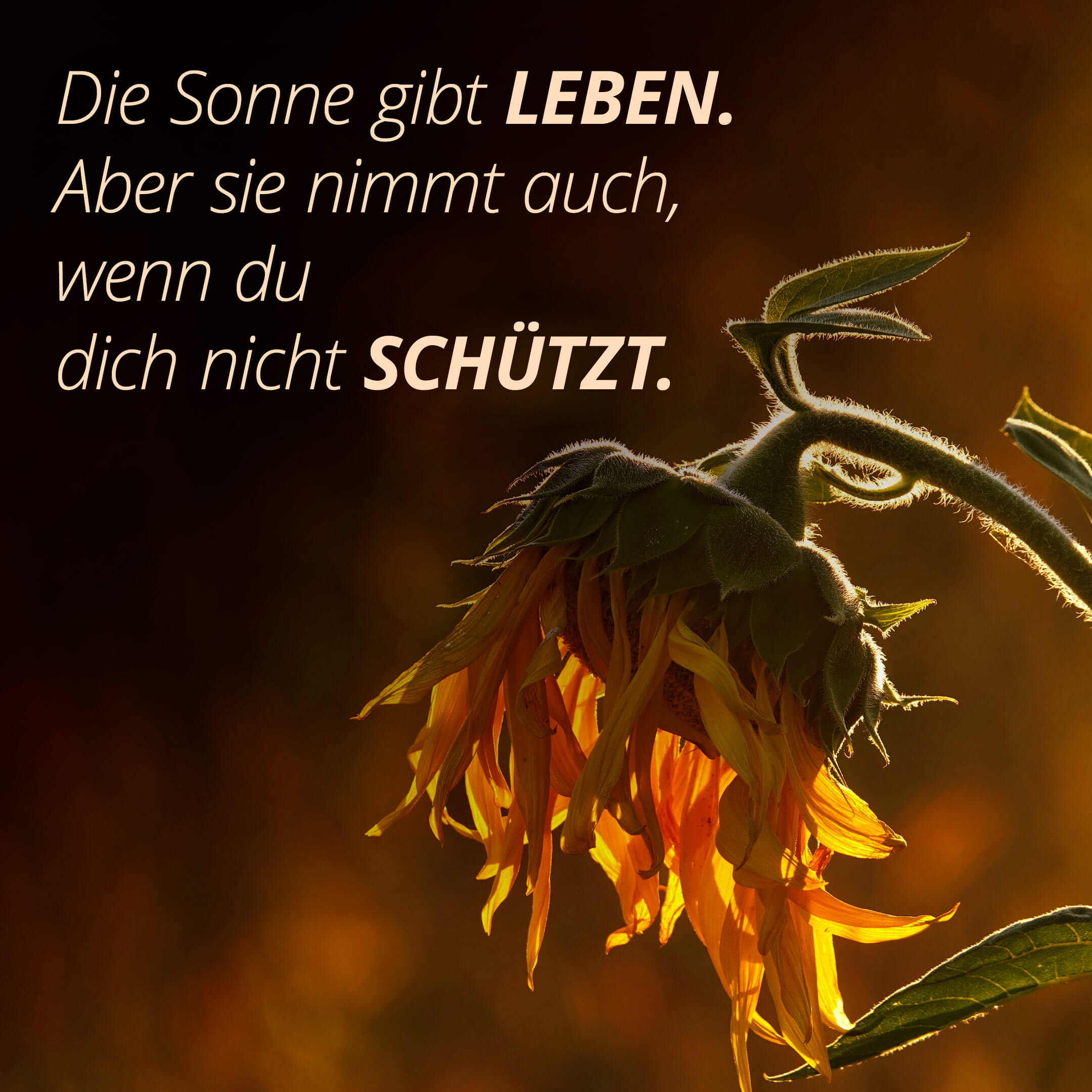 Die Sonne gibt Leben. Aber sie nimmt auch, wenn du dich nicht schützt.