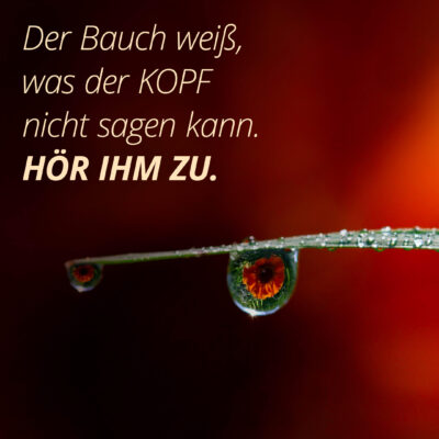 Der Bauch weiß, was der Kopf nicht sagen kann. Hör ihm zu.