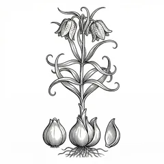 Illustration: Bei Mu