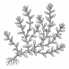 Illustration: Bian Xu