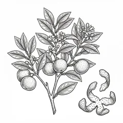 Illustration: Chen Pi