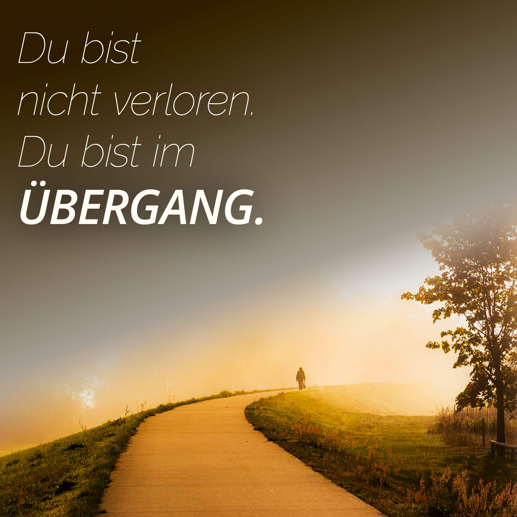 Du bist nicht verloren. Du bist im Übergang.