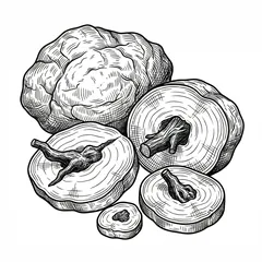 Illustration: Fu Shen