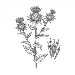 Illustration: Hong Hua