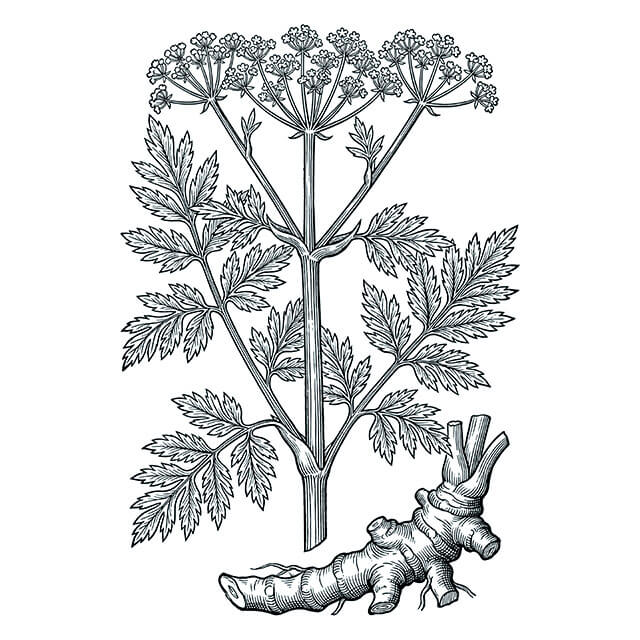 Illustration: Qiang Huo