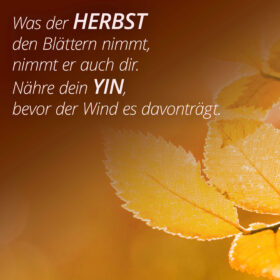 Was der Herbst den Blättern nimmt, nimmt er auch dir. Nähre dein Yin, bevor der Wind es davonträgt.